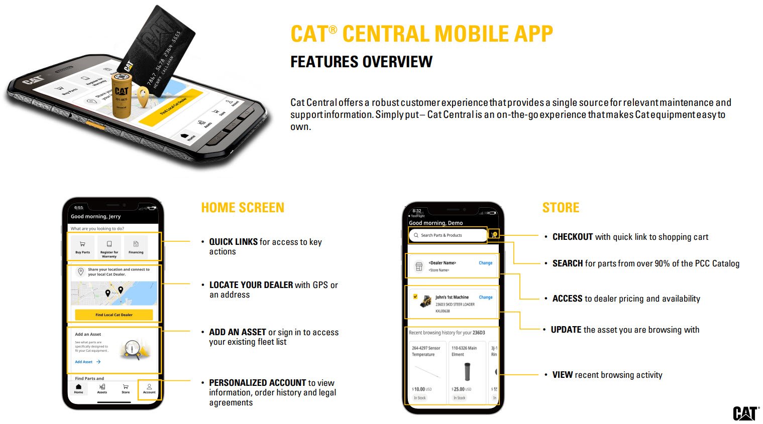 Cat Central Features