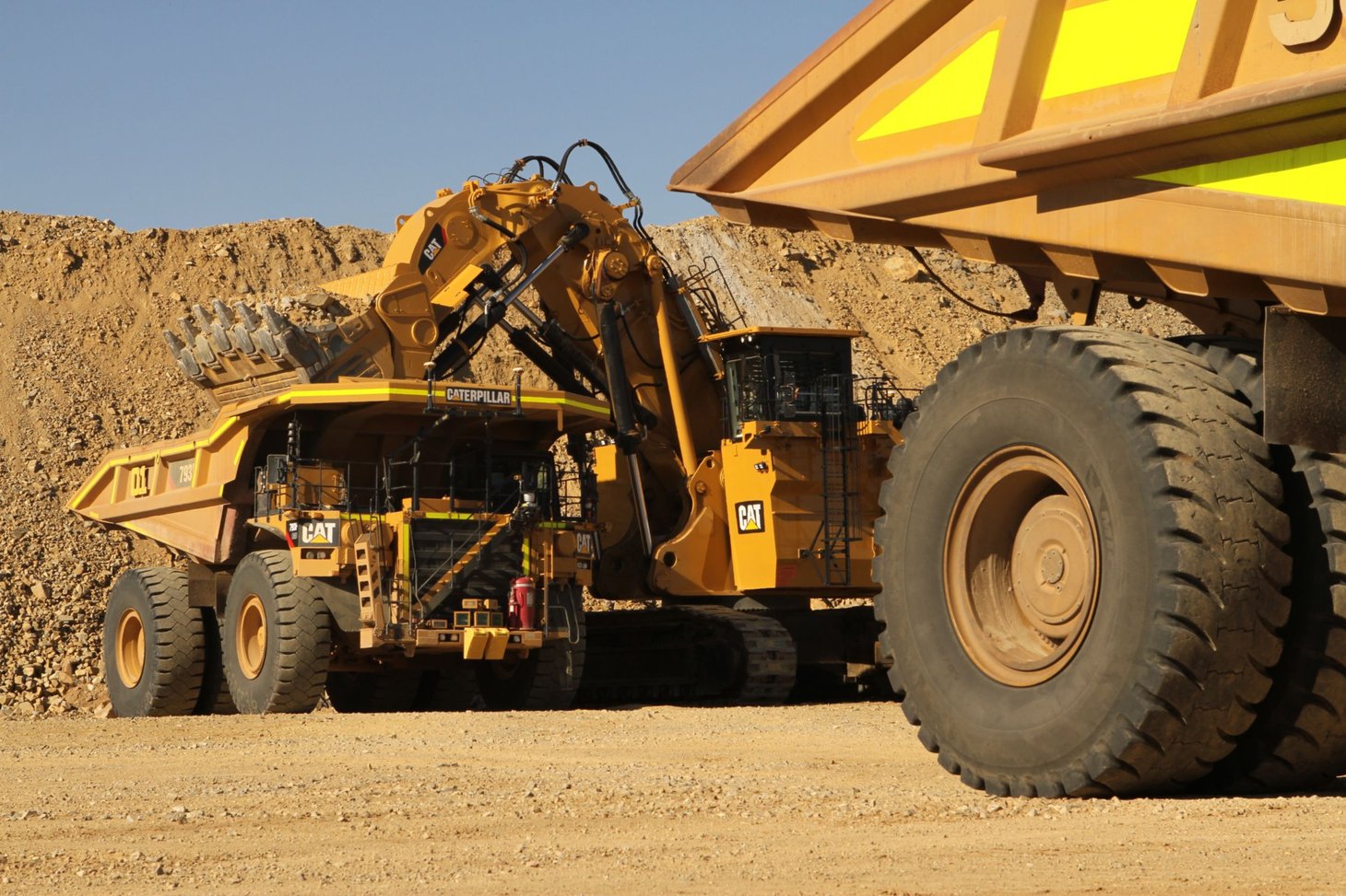 Cat Command Hauling