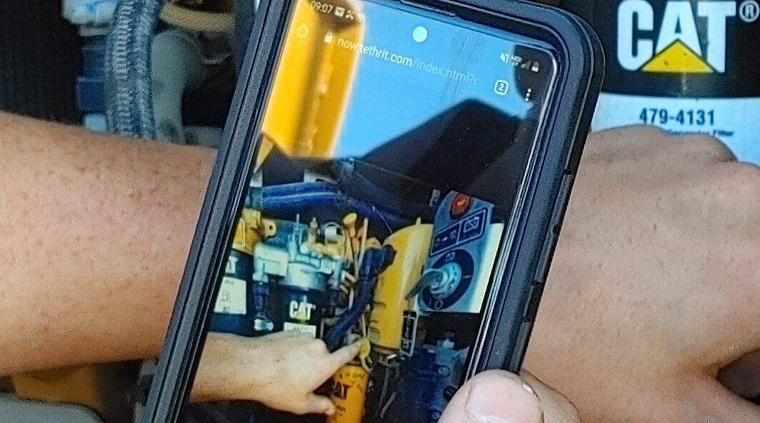 Foley Lynx on Phone
