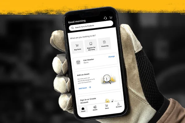 Cat Central on Mobil Device in the Palm of Hand